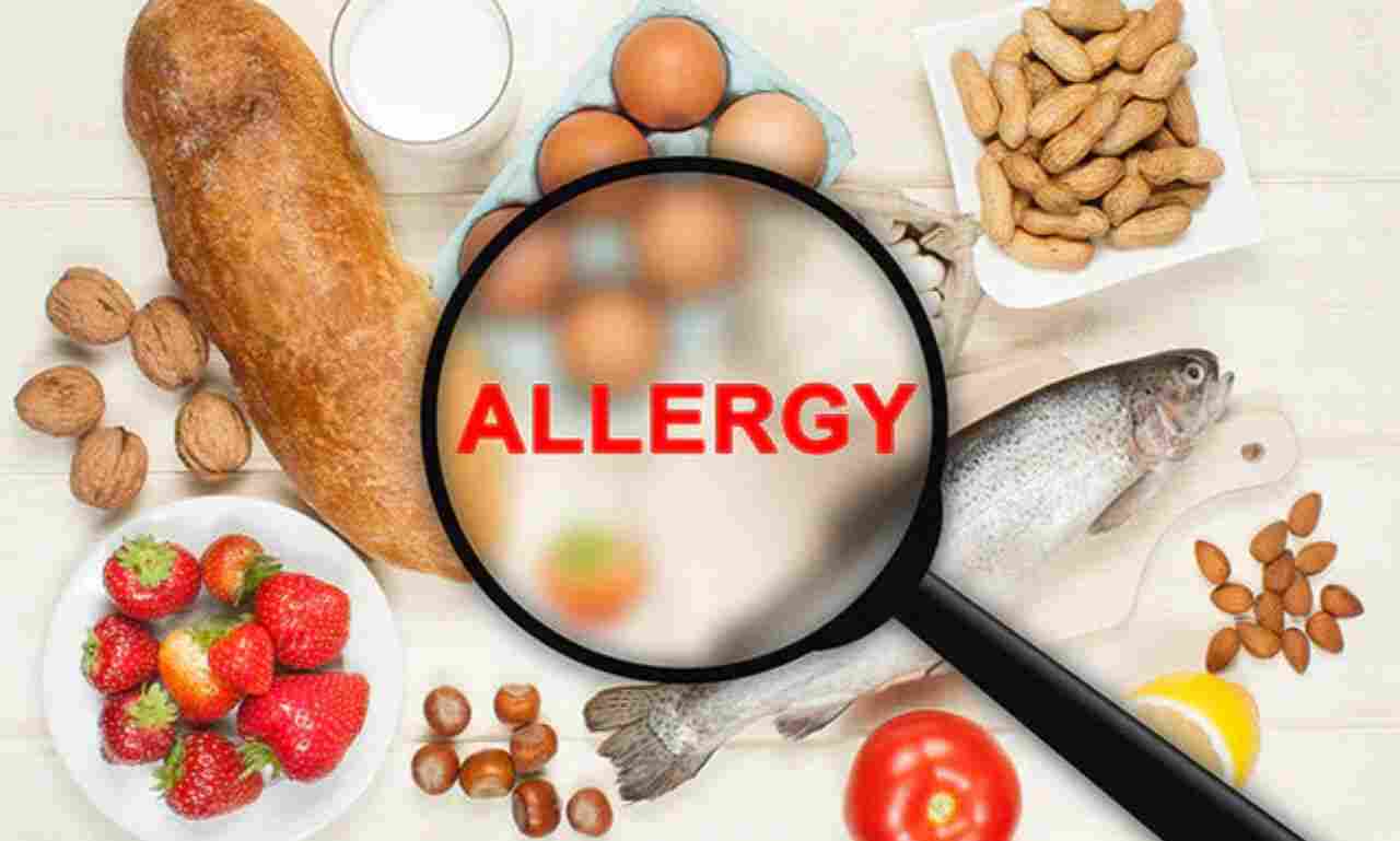 Cava Restaurant Allergens