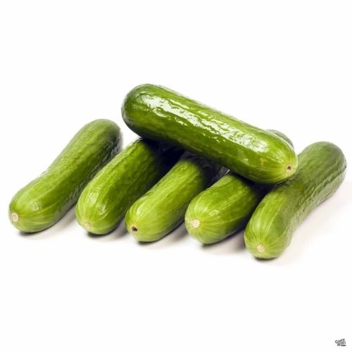 Cava-persian-cucumber